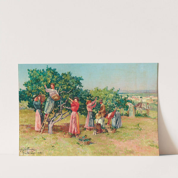 Harvest In Tuscany by Angiolo Tommasi