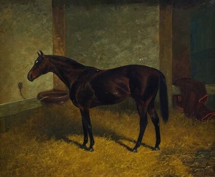 Hastings in a Stable (1902)
