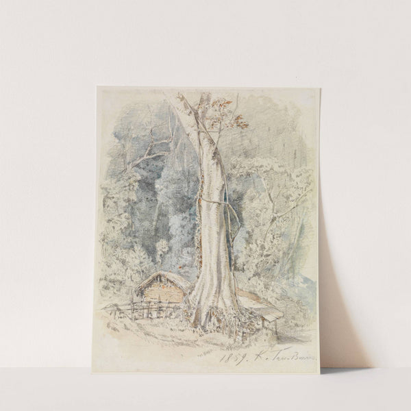 Haus mit Unterstand im Urwald bei Tres-Barras (1859) by Ferdinand Keller