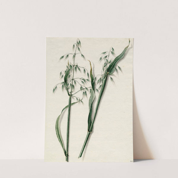 Haver by Barend Hendrik Thier