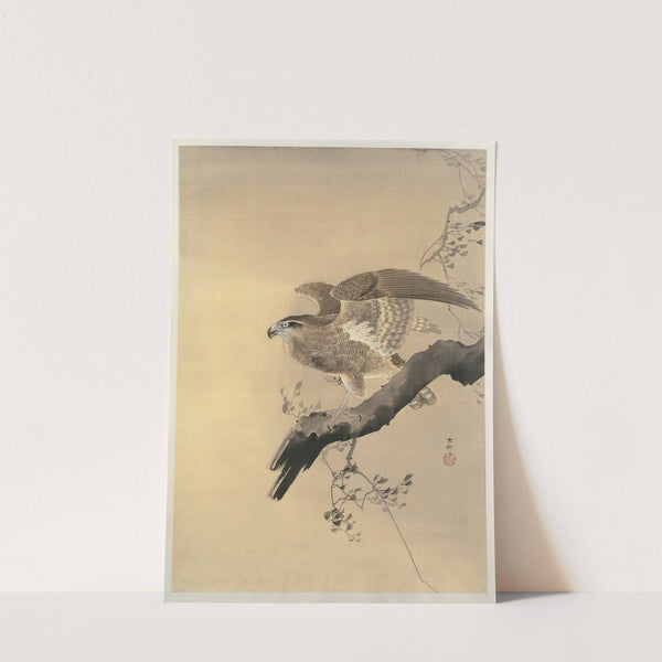 Hawk by Ohara Koson