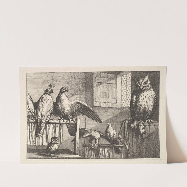 Hawks and owls (1654–58) by Wenceslaus Hollar