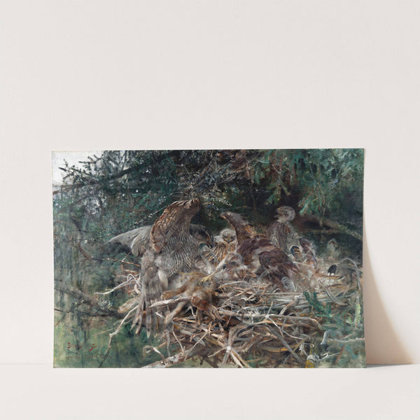 Hawk’s Nest (1886) by Bruno Liljefors