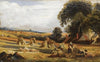 Haymaking