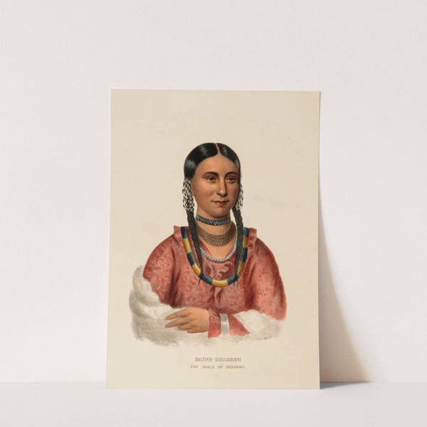 Hayne-Hudjihini. The Eagle Of Delight (ca. 1837-1844) by Charles Bird King