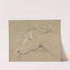 Head and Neck of a Frightened Horse, Left Profile by Henry Thomas Alken