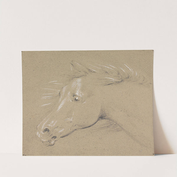 Head and Neck of a Frightened Horse, Left Profile by Henry Thomas Alken