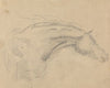 Head and neck of a horse facing right