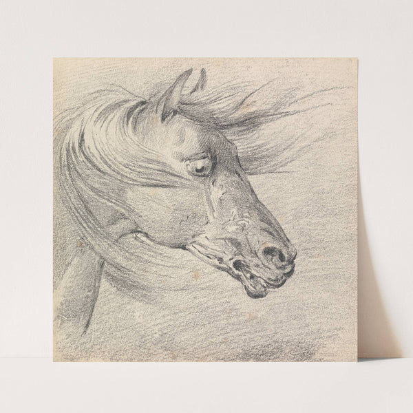 Head and Neck of a Horse in Fear or Exhaustion, Mane Swept Forwards, Profile Right by Henry Thomas Alken