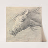 Head and Neck of a Horse, Profile Left by Henry Thomas Alken