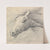 Head and Neck of a Horse, Profile Left by Henry Thomas Alken