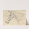Head and Neck of a Horse by Sawrey Gilpin