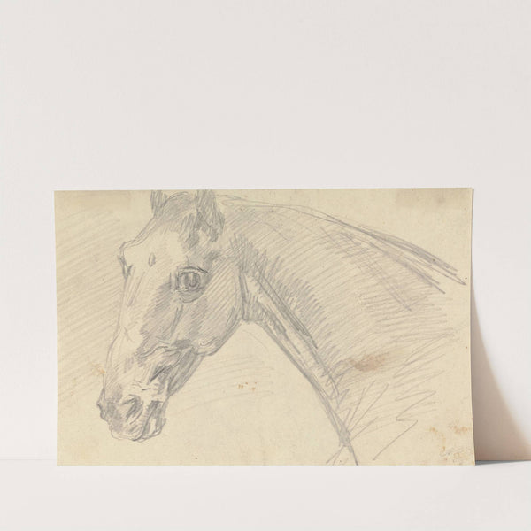 Head and Neck of a Horse by Sawrey Gilpin