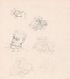Head and Postures