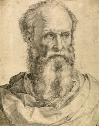 Head and Shoulders of a Bearded Man