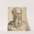 Head and Shoulders of a Bearded Man (1540-1549) by Francesco de''' Rossi