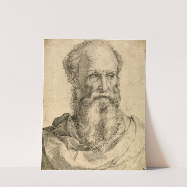 Head and Shoulders of a Bearded Man (1540-1549) by Francesco de''' Rossi