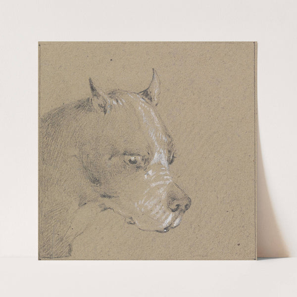 Head and Shoulders of a Boxer Dog, Profile Right by Henry Thomas Alken