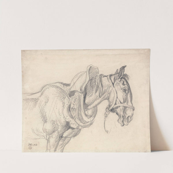 Head and Shoulders of a Cart Horse by James Ward