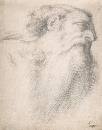 Head of a Bearded Man
