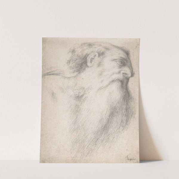 Head of a Bearded Man by Lorenzo Lotto