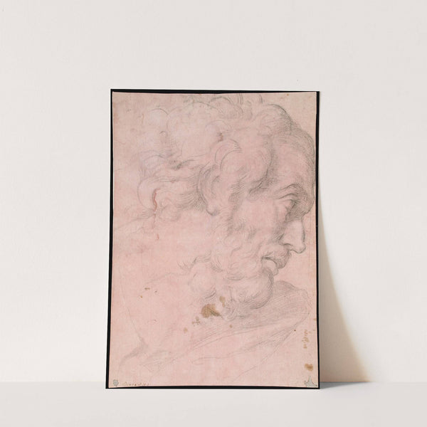 Head of A Bearded Man by Giovanni Angelo Canini