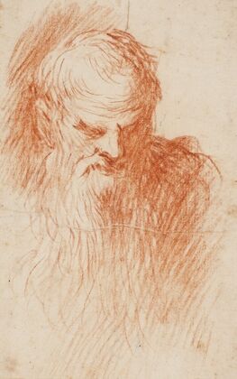 Head of a bearded man