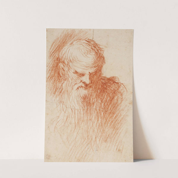 Head of a bearded man by Jacopo Palma il Giovane