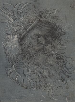 Head of a Bearded Man