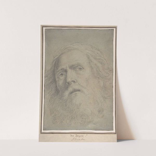 Head of a Bearded Man by Domenichino