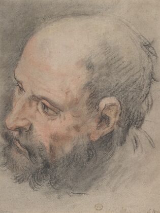 Head of a Bearded Man Looking Left