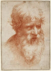 Head of a Bearded Man, looking right
