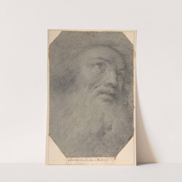 Head of a Bearded Man, Looking up to the Right by Bartolomeo Schedoni