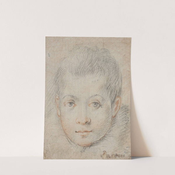 Head of a Boy by Federico Zuccaro