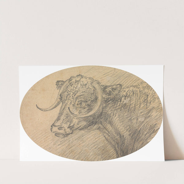 Head of a Bull (1760) by Sawrey Gilpin