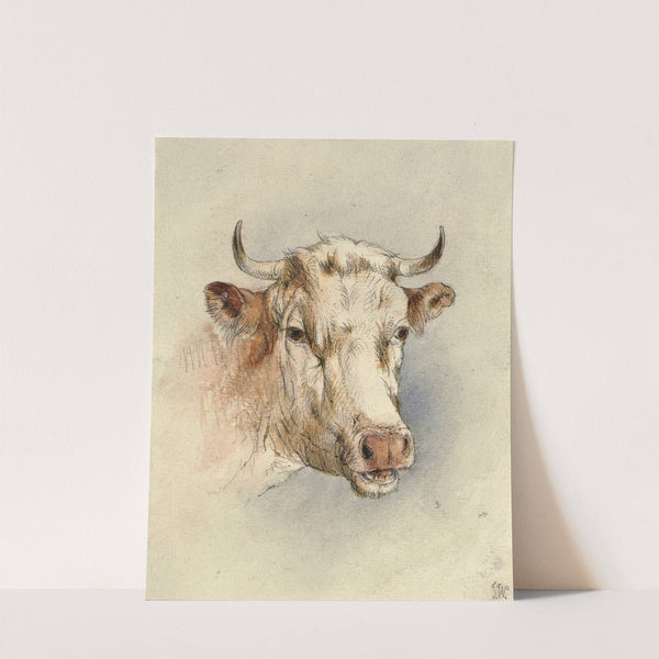 Head of a bull by Anonymous