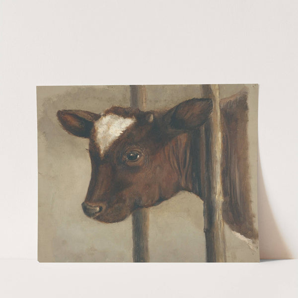 Head of a calf in a cowshed by Floris Verster
