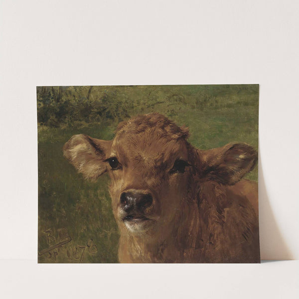 Head Of A Calf by Rosa Bonheur