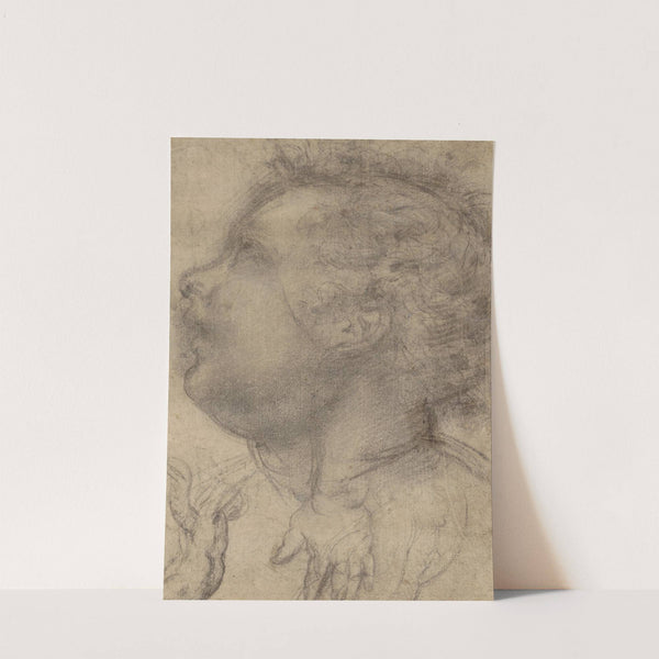 Head of a Child, an Angel and a Hand by Fra Bartolomeo