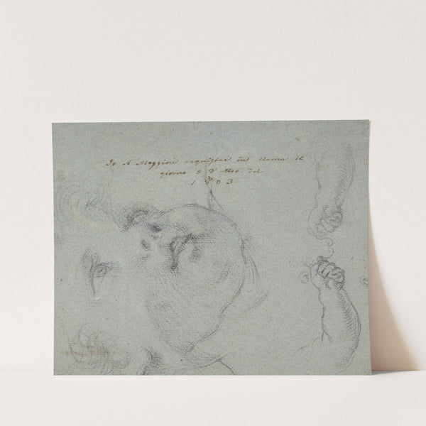 Head of a Child, Study of Children's Forearms by Ciro Ferri