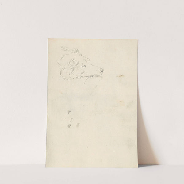 Head of a Dog by Joseph Wright of Derby