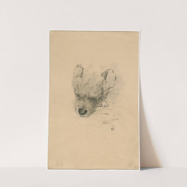 Head of a dog (1873) by Floris Verster