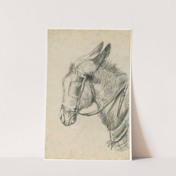 Head of a donkey with rein and blinker by Floris Verster