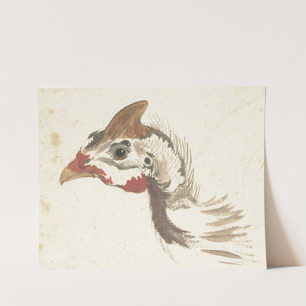 Head of a Helmeted Guineafowl (1720 - 1792) by Aert Schouman