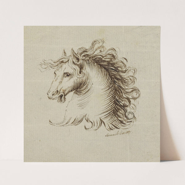 Head of a Horse by Samuel H. Owen