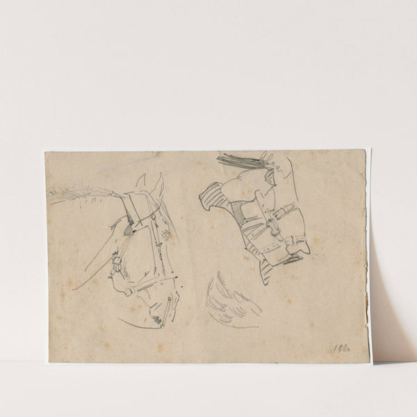 Head of a horse (1880) by Floris Verster