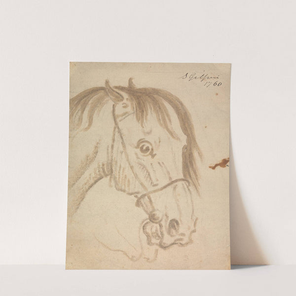 Head of a Horse (1760) by Sawrey Gilpin