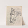Head of a Horse Wearing a Bridle by Henry Thomas Alken