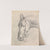 Head of a Horse Wearing a Bridle by Henry Thomas Alken