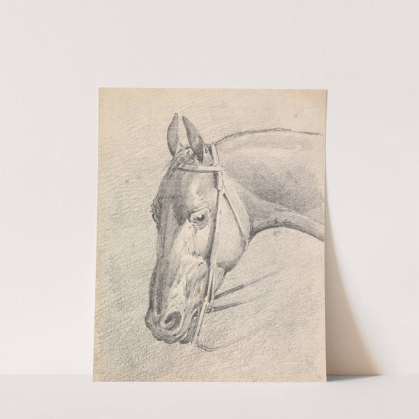 Head of a Horse Wearing a Bridle by Henry Thomas Alken